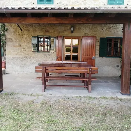 Betulla E Gelsomino